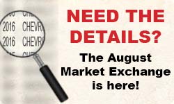 Market Exchange Side Bar - Aug